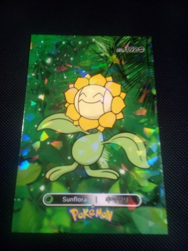 Pokemon 2024 card database - 2024,