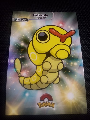 Pokemon 2024 card - card, database
