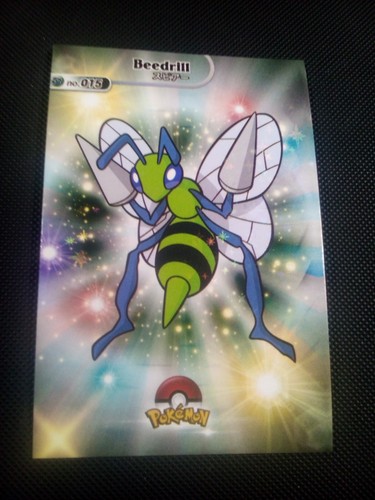 Pokemon 2024 card database - pokemon,